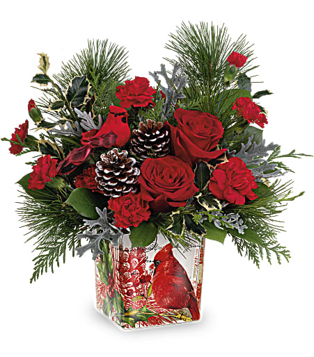 Cardinal Cheer Bouquet - Paint a magical holiday scene with this cheerful Christmas bouquet, arranged in a vintage-inspired glass keepsake adorned with a lovely cardinal. Later, it's perfect for using as a decorative candleholder. Approximately 14 1/2 inches wide and 14 1/2 inches tall for the Standard size.