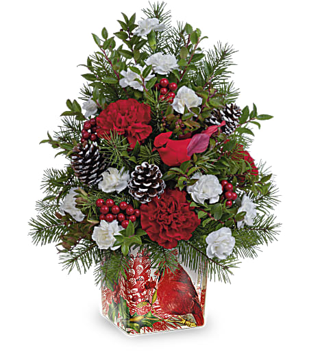 Cardinal In Flight Tree Arrangement - Wondrous winter whimsy for any Christmas celebration! This charming floral &quot;tree&quot; is presented in a lovely cardinal cube that combines festive red and white blossoms with fresh winter pine. Approximately 13 inches wide and 16 1/2 inches tall for the Standard size.