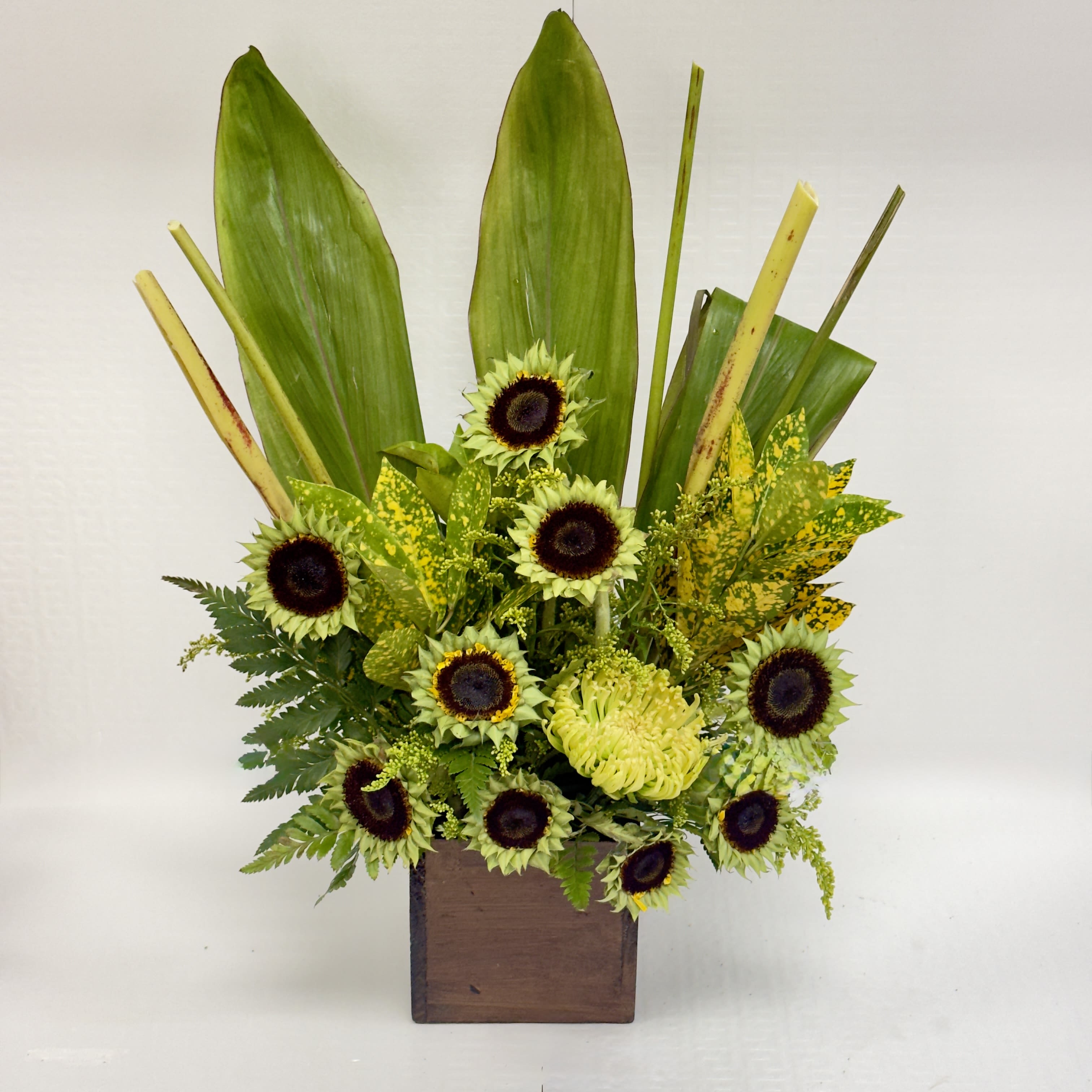 Green Horizon Arrangement - A modern, nature-inspired design featuring green-tinted sunflowers, lush tropical foliage, and textured greenery arranged in a rustic wooden container. Fresh, sculptural, and calming—perfect for home décor or gifting with contemporary style.