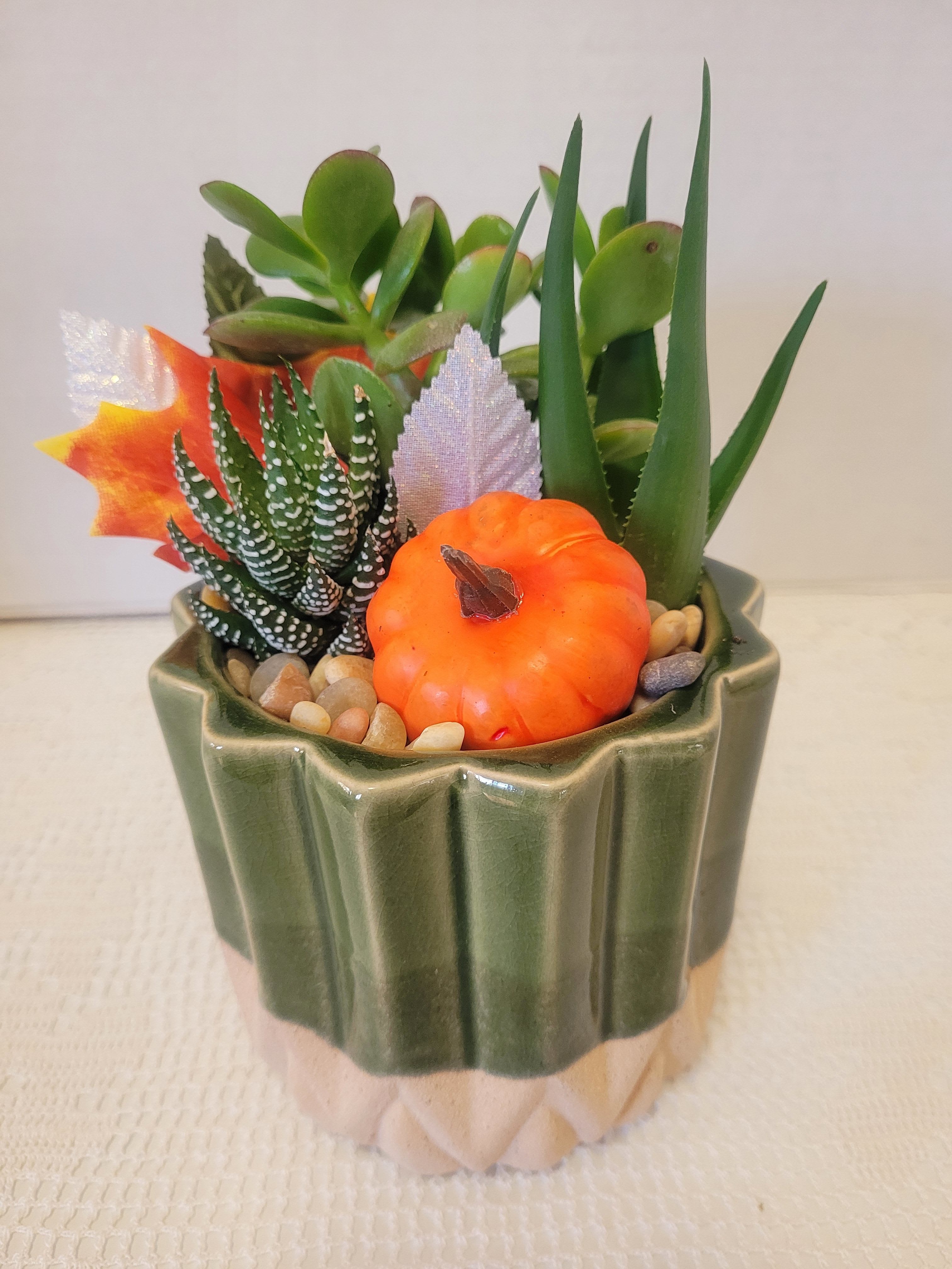 Green Harvest Ceramic  - A lovely green ceramic planted with succulents and decked out with fall embellishments. This is a closed environment so remember to spritz. 