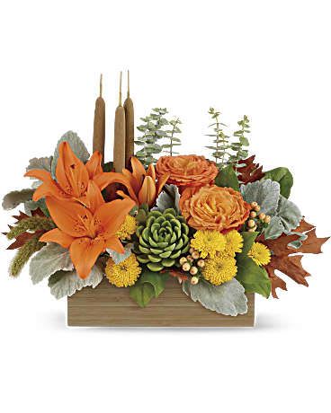 Fall Bamboo Garden - Enjoy the serenity of the season with a fresh fall centerpiece that is as beautiful as it is soothing. This lush arrangement enchants in shades of peach, orange and green - combining roses, lilies and even a succulent plant! Hand-delivered in a natural-toned bamboo rectangle. This gorgeous centerpiece arrangement features orange roses, orange asiatic lilies, yellow cushion spray chrysanthemums, peach hypericum, millet, cattails and a succulent plant, and finished with dusty miller, spiral eucalyptus and lemon leaf. Delivered in Teleflora's Natural Bamboo Rectangle. Orientation: One-Sided 
