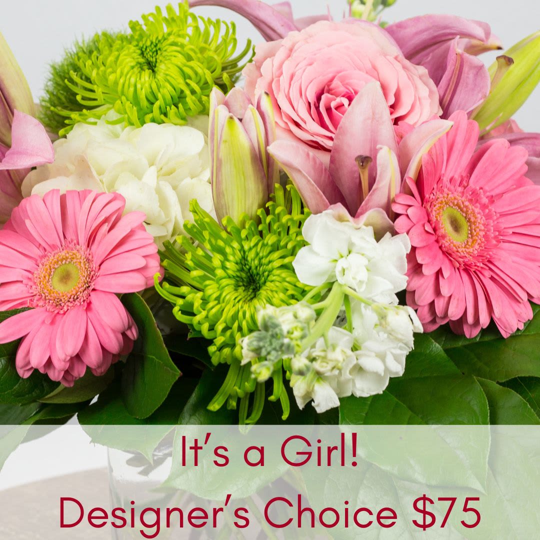 It's a Girl! Designer's Choice - Let our designers create a beautiful arrangement to welcome your new baby with the freshest blooms of the season! Please let us know of any flower or color preferences that you might have. While we cannot guarantee a specific flower type, we always ensure your arrangement is beautiful &amp; fresh!