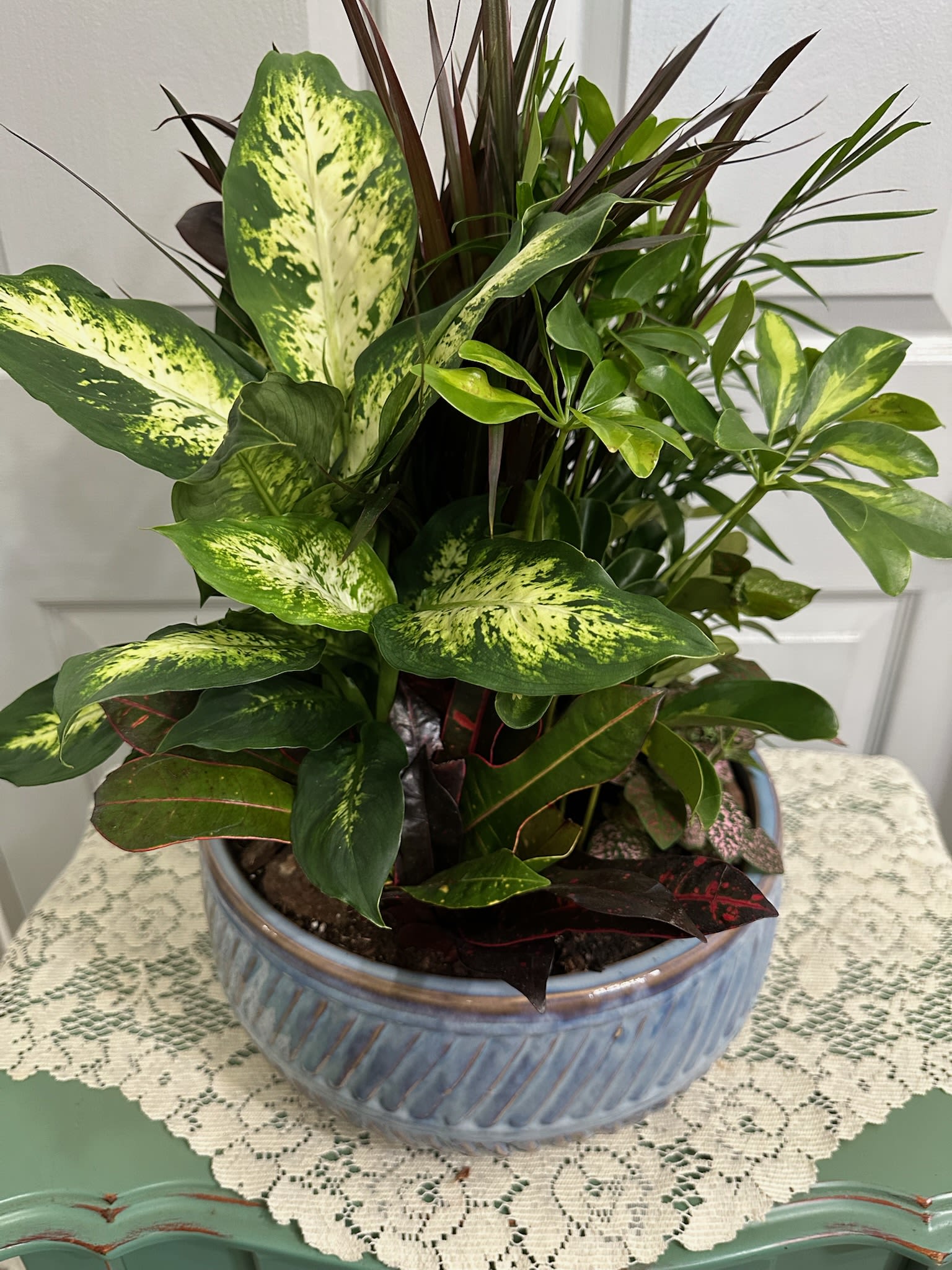 Ceramic Planter 12 inch - Ceramic Planter with an assortment of plants. Picture show an example of look of Planter.  Planter may be different from what we have in stock.  