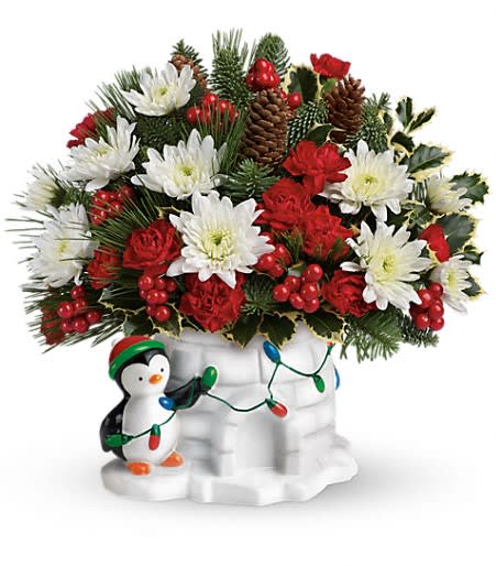Send a Hug Deck The Igloo by Teleflora - Deck the halls with this jolly gift! Sure to make them smile, this joyful bouquet of red carnations, white mums and classic winter greenery is arranged in a ceramic Christmas keepsake they'll be delighted to display every December!