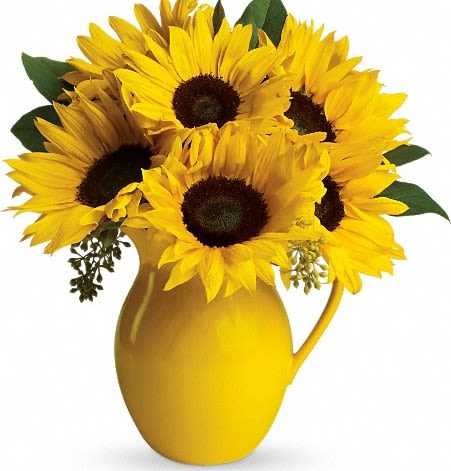Sunny Day Pitcher of Sunflowers - Pour on the fun by sending this dazzling bouquet of summer's brightest blooms! Great if you're invited to a pool party, BBQ or just want to brighten up someone's day.