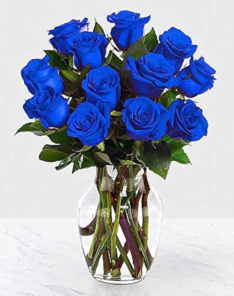 Dzn Blue Roses In A Vase - A Dozen Blue Roses designed in a glass vase with foliage and fillers. 