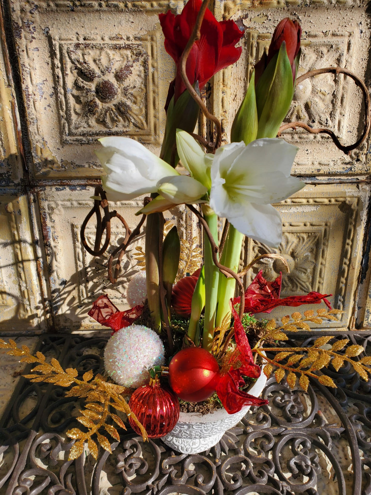 Annie Lennox - This striking and unusual floral arrangement features Amaryllis, decorative holiday bulbs, moss, and ornaments tucked into a decorative container. Arrangement pictured is 'deluxe'.