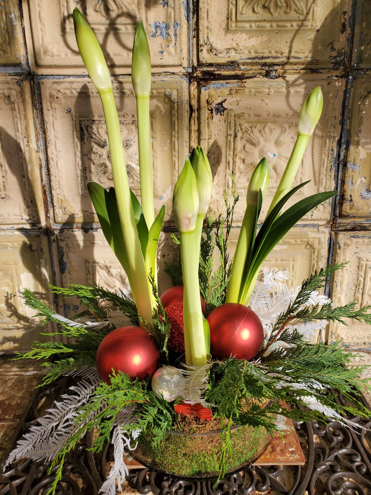 Kate Winslet - A lovely holiday amaryllis plant with sprigs of cedar, bleached umbrella fern, and Christmas ornaments.