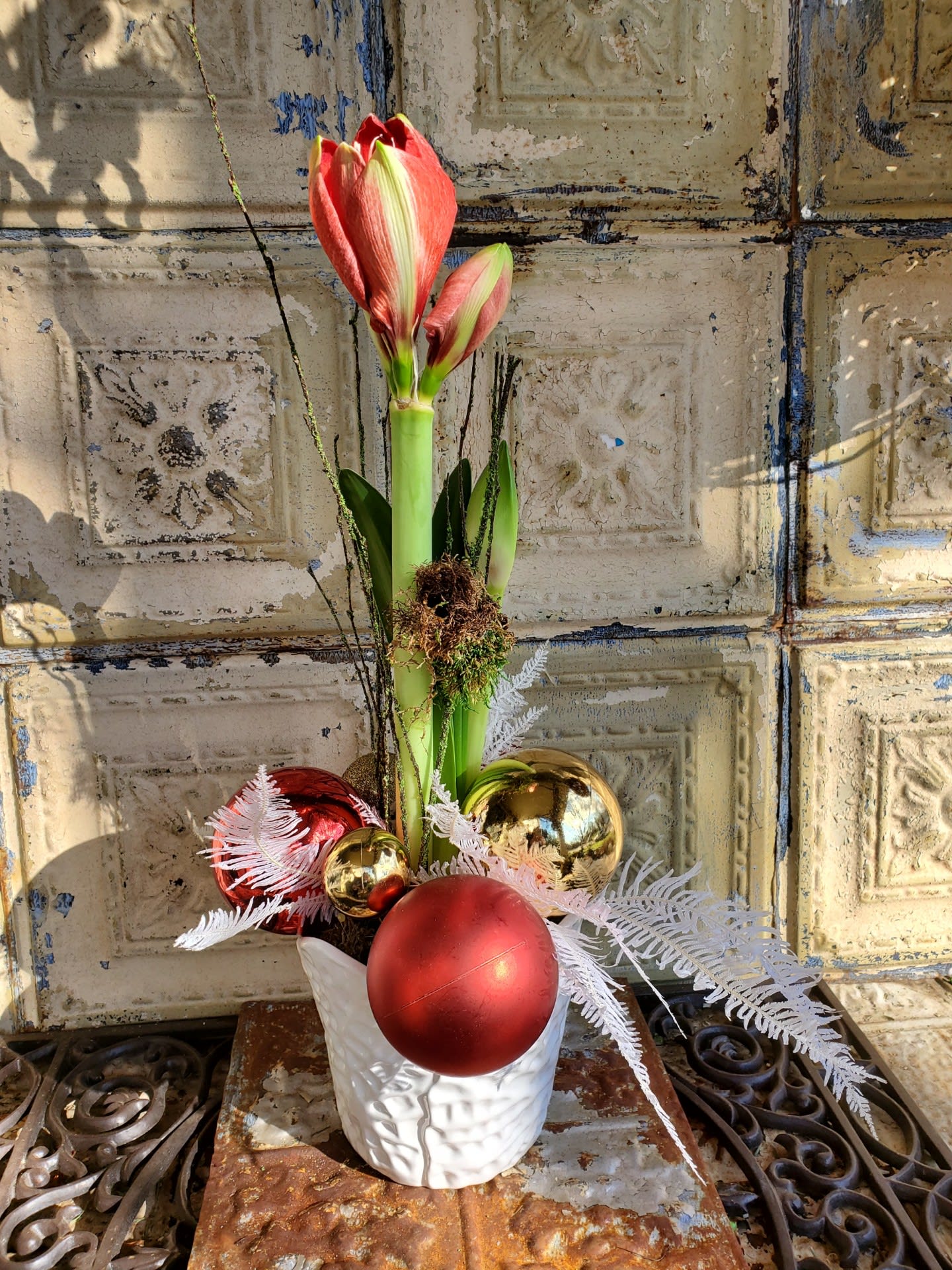 Sandra Day O'Connor - An amaryllis plant with bleached umbrella fern and assorted Christmas ornaments.