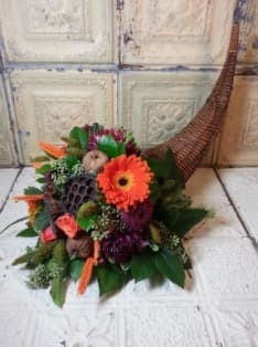 Prince - Celebrate Thanksgiving with this special centerpiece made of lotus pods, gerbera daisies, mums, roses, pumpkins, seeded eucalyptus in a Cornucopia.