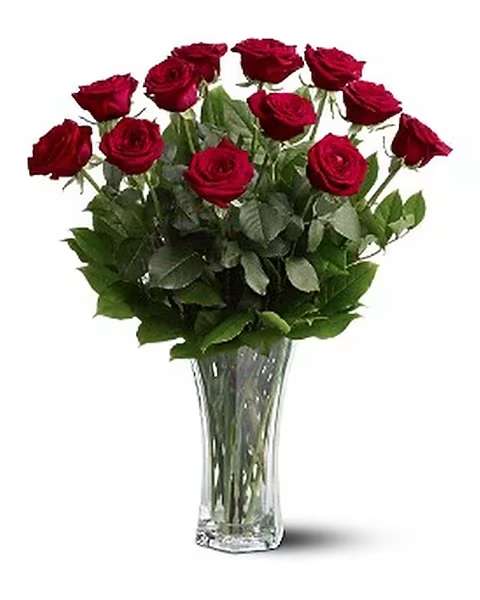 A Dozen Premium Red Roses  - For classic romance, a dozen red roses is always the perfect choice. One dozen long-stemmed red roses in a clear glass vase. Approximately 20&quot; W x 24&quot; H  Due to the nature of perishable products, some floral products may require minor substitutions. We'll contact you if drastic substitutions are required. All prices in USD ($)  TF31-1