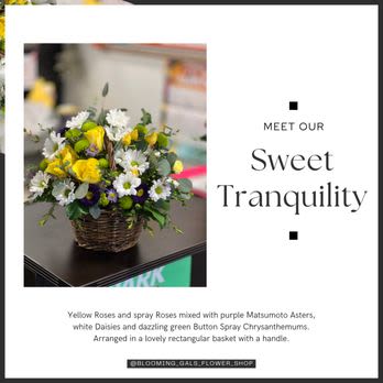 Sweet Tranquility - Yellow Roses and Spray Roses, Matsumoto Asters, White Daisies and Dazzling Green Mums Arranged in a Lovely Willow Basket