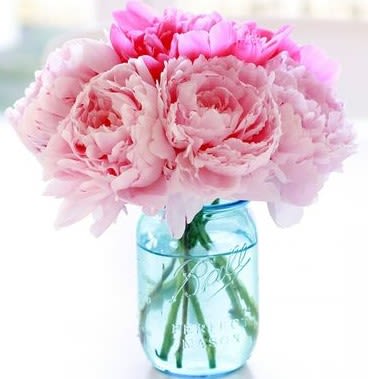 PEONY SALE!   33% OFF - When you want glamour, you want peonies.   And for a limited time, they are on sale!  Hurry--colors and supplies are limited.  