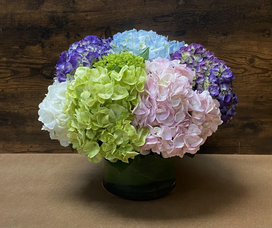 Happy Hydrangeas  -  this arrangement is a mix of all Dutch and South American hydrangeas. The colors will be as similar as possible based on freshness and availability. Please call the shop if you would like to request a certain color scheme. Colors will vary with each season.   