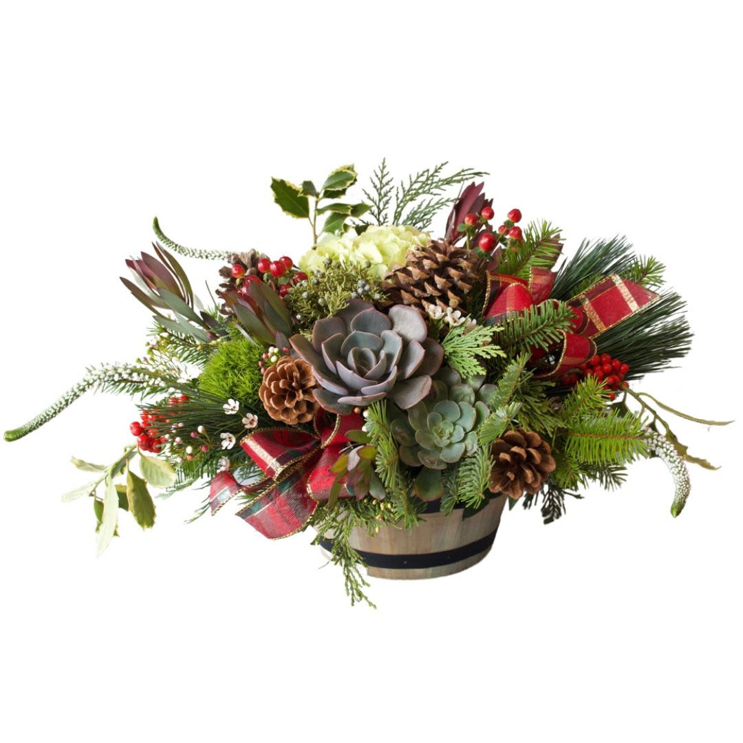 Barrel of Joy  - A gift that keeps on giving with this charming Christmas Barrel. Featuring two succulents and seasonal greens.