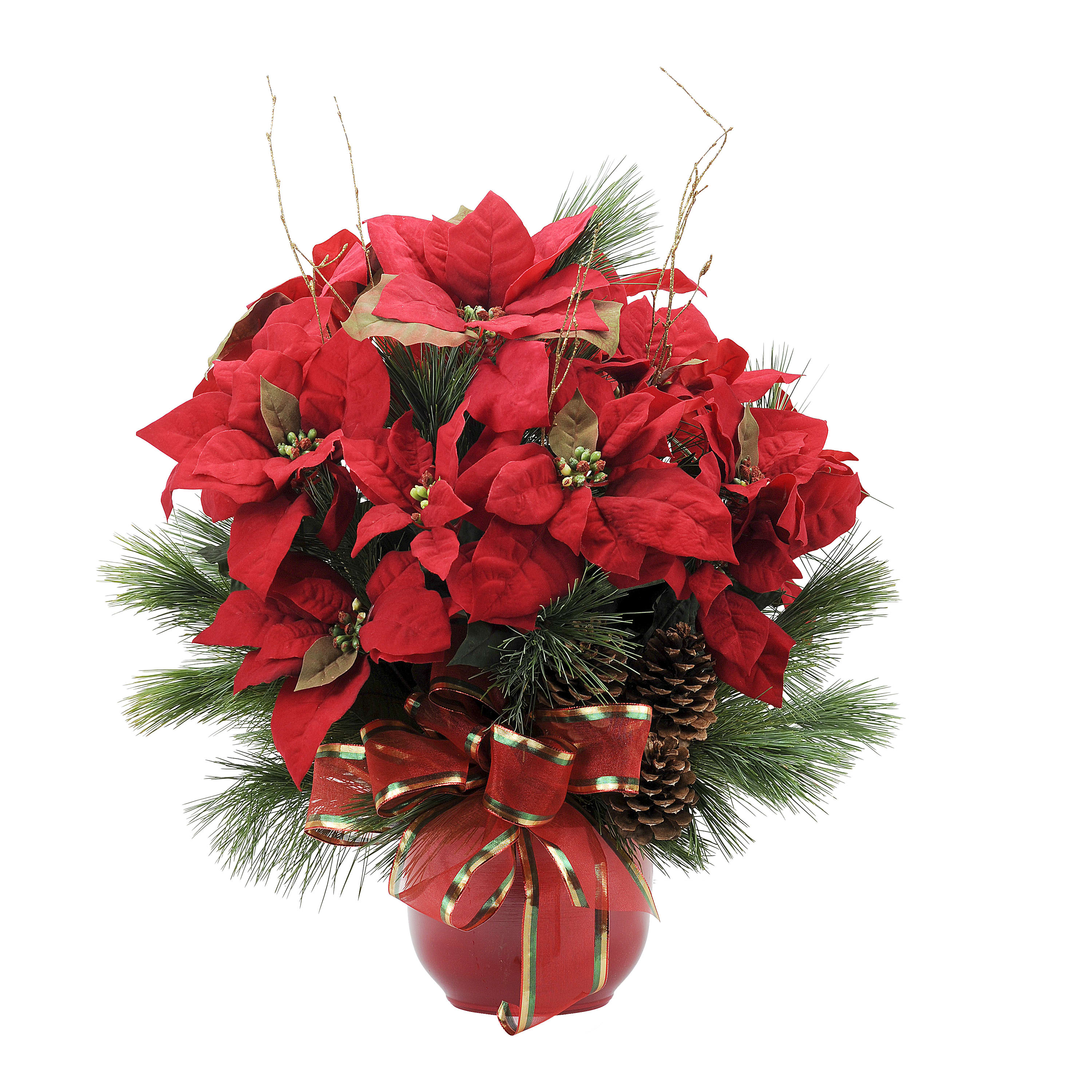 Pre-Order a Grand Poinsettia  - A premium red poinsettia in a specialty container with branches and ribbon.	Approximately 20&quot; wide by 22&quot; high DGTMF-502