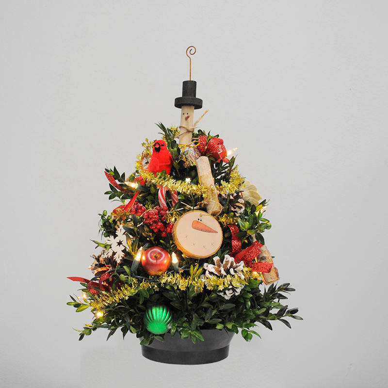 12&quot; Boxwood Tree - Fresh-Cut Boxwood Holiday Trees Looking for the perfect holiday gift or a festive touch for someone special? Our Boxwood Trees are a thoughtful choice for parents who no longer put up full-sized tree or as elegant business gifts.  Each tree is made from fresh-cut boxwood and adorned with twinkling lights and a delightful mix of traditional and modern holiday decorations.  Delivery Options: Local Delivery: Please allow up to 48 hours. FedEx Shipping: Order early to avoid holiday shipping delays. Easy Ordering for Bulk Gifts: Are you sending more than two trees? Email your recipient list to herbzimmerman47@gmail.com, and we’ll handle the rest!  Order early to spread holiday cheer on time. Let’s make this season bright together! 