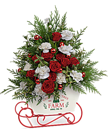 Joyful Holiday Tree Bouquet - Oh what fun it is to celebrate Christmas with a merry metal sleigh, filled with a fresh floral tree of red roses, winter greens and shimmering ornaments! This joyful Christmas tree bouquet includes red spray roses, miniature white carnations, cedar and oregonia. Teleflora's Joyful Holiday Tree Bouquet is delivered in Teleflora's Snow What Fun Sleigh Keepsake.