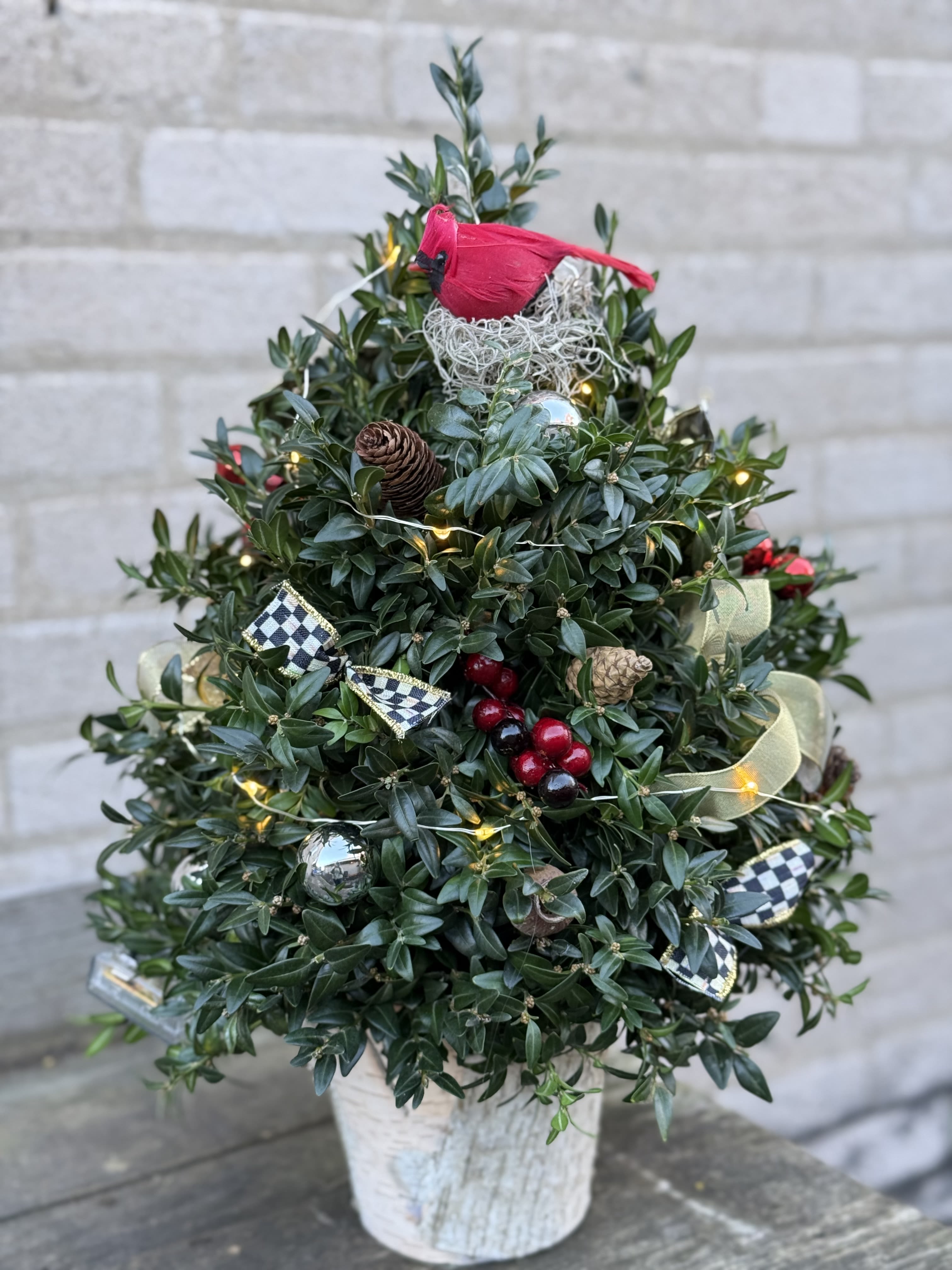 Boxwood Christmas Tree - A stunning, custom made boxwood Christmas tree decorated with lights, ribbons, berries, cones and Christmas decorations with some textural elements. If this tree is watered regularly will last for weeks. 17 inches in height and about 12 inches in circumference 