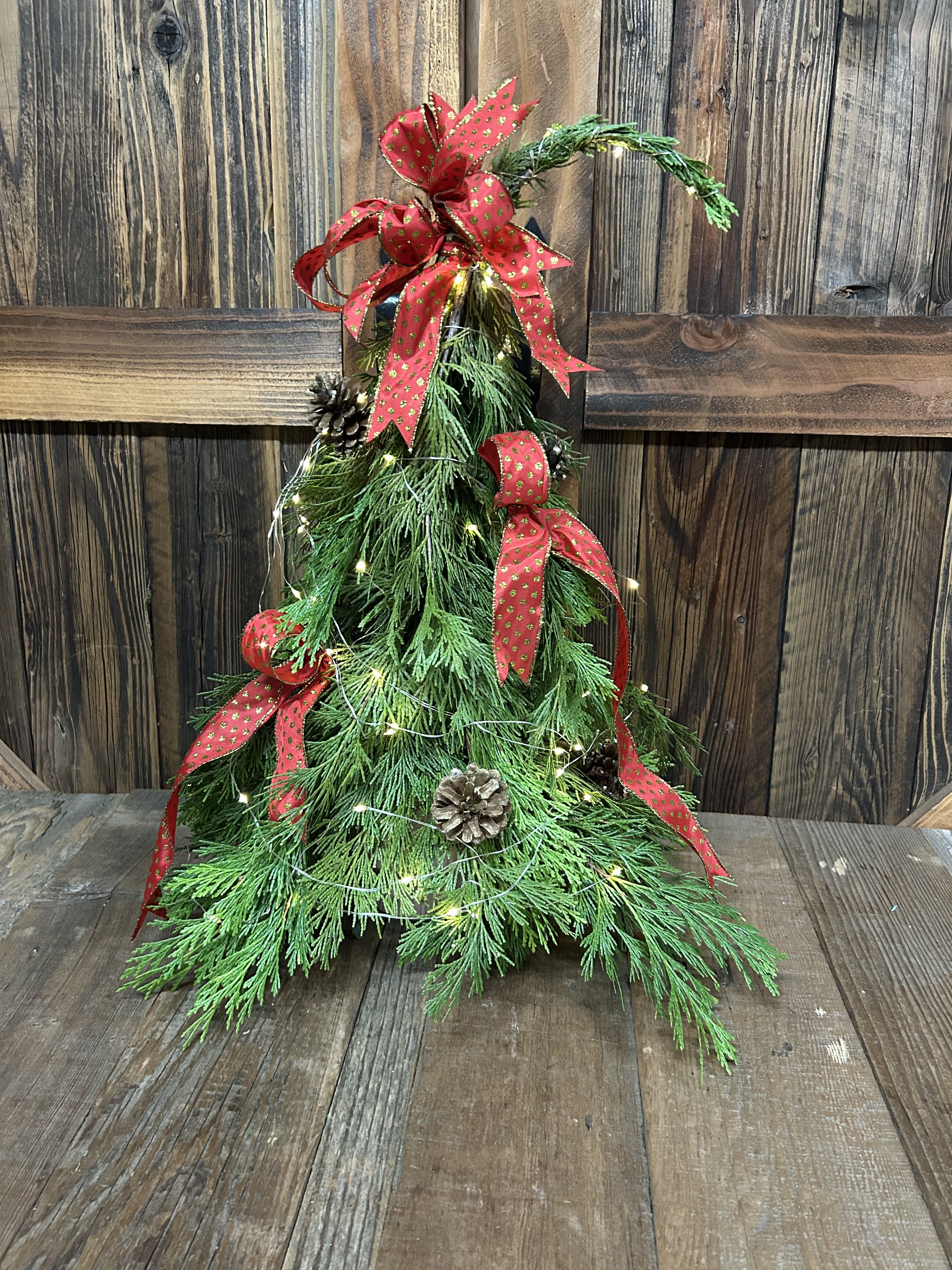 Fresh Christmas Tree for Table Top - Cute Fresh Christmas Tree with clear lights.