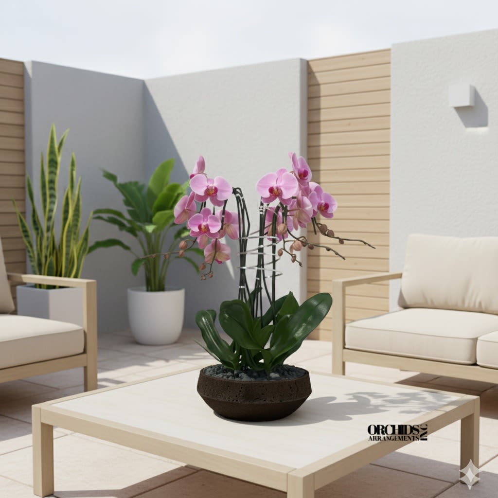 Same Day Flower Pink Orchids - A high quality Four pink orchid arrangement with a vase 13&quot; D X 5&quot; T. An orchid arrangement flower deliver for any occasion design with fresh natural real beautiful Phalaenopsis cascade orchid plant minimalist decor. 