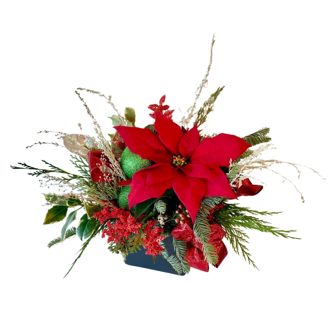 Poinsettia Perfection  - This petite poinsettia plant is just the right way to say Merry Christmas. 4.5 x 4.5 inch container and 9 inch tall arrangement.