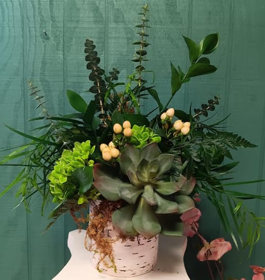 Mother Nature - Celebrate the beauty and strength of motherhood with our Mother Nature arrangement—an enchanting display of lush greenery and natural textures. Nestled in a rustic ceramic birch container, this arrangement features velvety green trick dianthus, vibrant hypericum berries, and a striking succulent, symbolizing resilience and everlasting love. Accented with a medley of lush greens, this piece exudes earthy elegance, making it the perfect gift for the mom who nurtures, grows, and flourishes just like nature itself. 