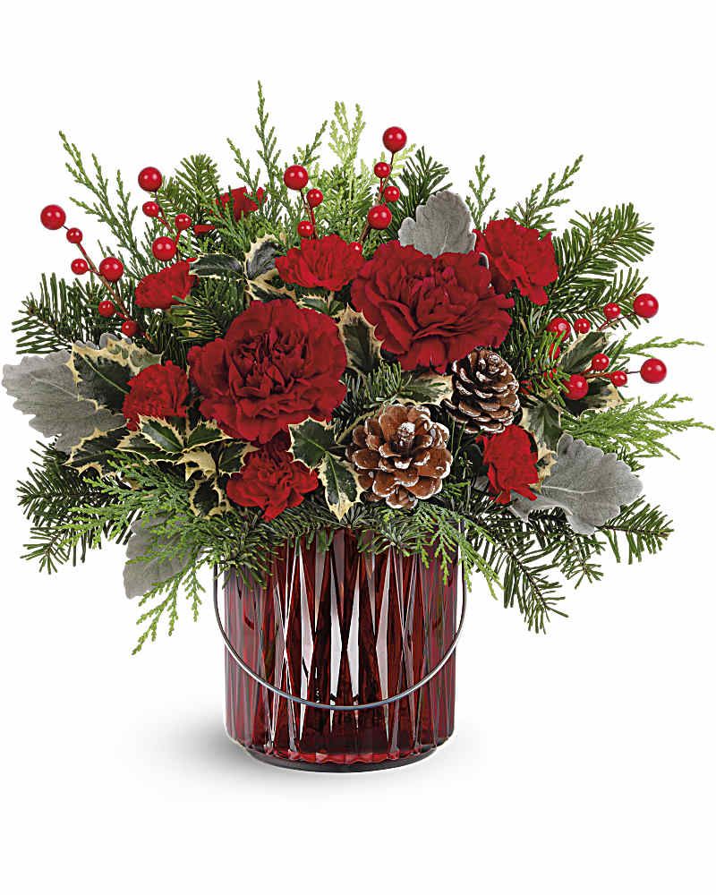 Teleflora's Merry Glow Bouquet - Illuminate your holiday festivities with this enchanting Christmas bouquet, elegantly arranged in a red glass lantern. Later, it doubles as a beautiful candleholder, bringing a warm and festive glow to your home décor. Teleflora's Merry Glow Bouquet showcases maroon carnations, miniature red carnations, salal, dusty miller, noble fir, and cedar, accented with festive flair. Delivered in Teleflora's Merry Glow Lantern, it brings warmth and elegance to holiday celebrations.  Orientation: All-Around