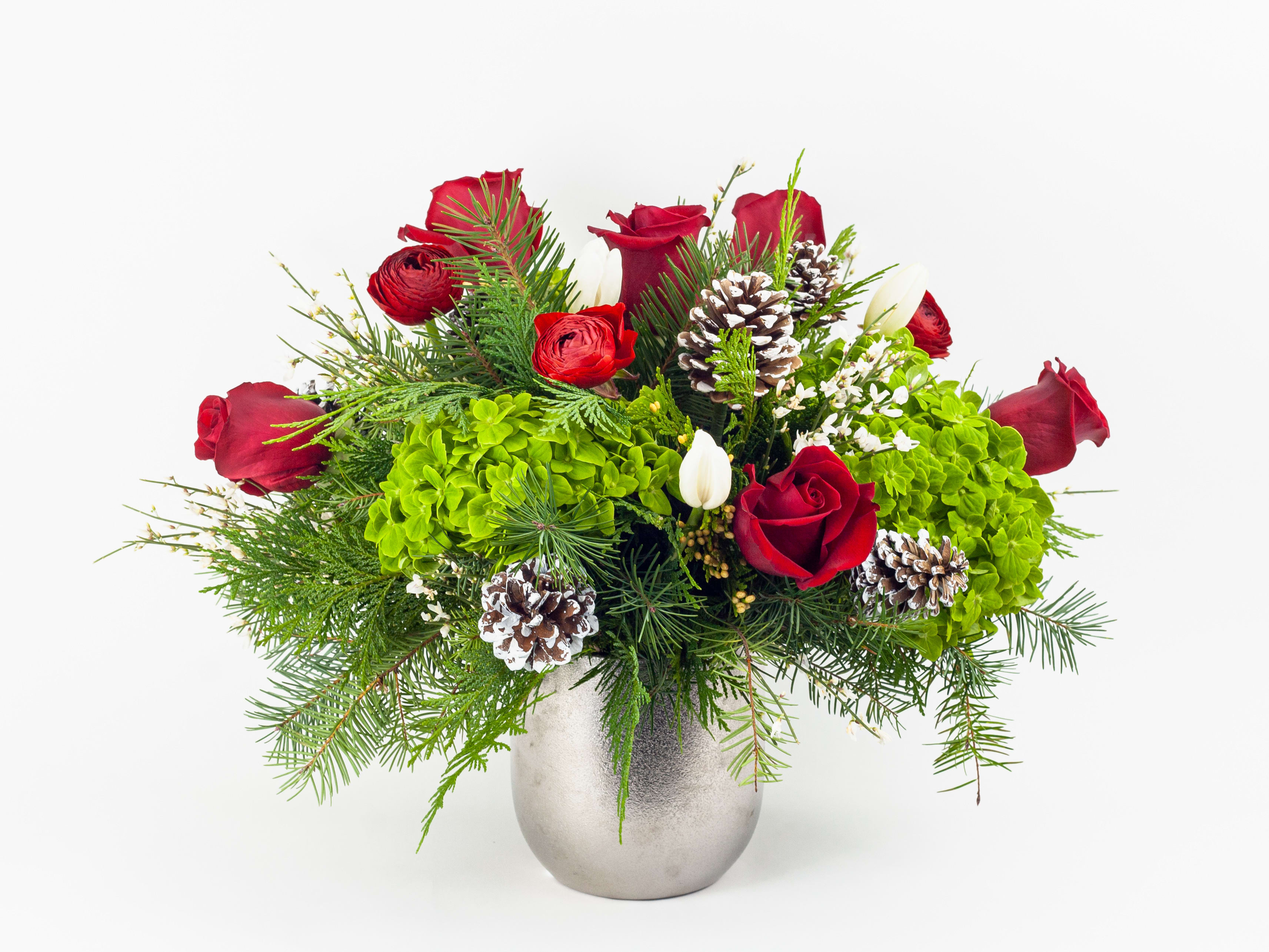 Holiday Season - XMAS FLOWERS WITH RED ROSES, WHITE TULIPS &amp; RANUNCULUS  Festive and bright. A fabulous Xmas flower delivery in rich red, green and white. Complete with fragrant white ginestra stems, this design features velvety red roses, fluffy green hydrangea, gorgeous red ranunculus, classic white tulips and white ginestra. Accented with fragrant evergreen and decorative white snow pine cones, our floral beauty will add a splash of Christmas joy to any room.  Why not add a greeting card or quality handmade candle as an extra special Christmas gift? Holiday Season features: Noble fir Fragrant cedar White ginestra Green Esmeralda hydrangea Fresh red roses Beautiful white tulips Red ranunculus Decorative snow white pine cones SIZE: The STANDARD flower arrangement is approximately 14” height and 16” width. ALLERGY ADVICE: This design has low pollen and a low-moderate fragrance.   Ready to bring floral beauty into someone’s world with our bright and festive Xmas flower delivery? Order this gift online now or give us a call on (415) 752-2060 if you have a question or special request.   