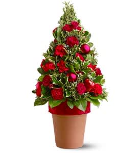 O Tannenbaum - Created with a mix of holly and evergreens, this unique floral arrangement - designed in the shape of a Christmas tree - is almost two feet tall! Adorned with red flowers, ornaments, faux berries and apples, it's ready to charm and delight.  A mix of fresh evergreens and holly is arranged in the shape of a tree and decorated with red roses, carnations, ornament balls, faux berries and miniature apples, and a ribbon. Delivered in a terra-cotta pot.  Approximately 9.5&quot; (W) x 18&quot; (H)  Orientation: All-Around  As Shown : TFWEB269