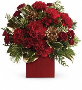 Laughter and Cheer bouquet - Warm up cold winter days with good cheer! Red carnations and gold pinecones are delightfully arranged with winter greens in a rich red bamboo cube.  Red carnations and maroon miniature carnations are accented with tips of noble fir, flat cedar, holly, white pine and assorted greens. Delivered in Teleflora's red bamboo cube.  Approximately 12&quot; W x 12&quot; H  Orientation: One-Sided  As Shown : TWR02-2A Deluxe : TWR02-2B