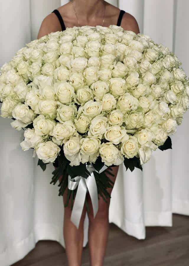 100 WHITE ROSE BOUQUET - 100 WHITE ROSE BOUQUET   A gorgeous all white long stem rose bouquet - wrapped in a traditional styling for a classic, timeless and chic look   Our loose bunches are designed with fresh flowers, individually created by our designers, wrapped, and finished with a lovely bow. These bouquets will vary daily based off of the best seasonal selection.  Our loose bunches do NOT include vases. Paper and bow color will vary.