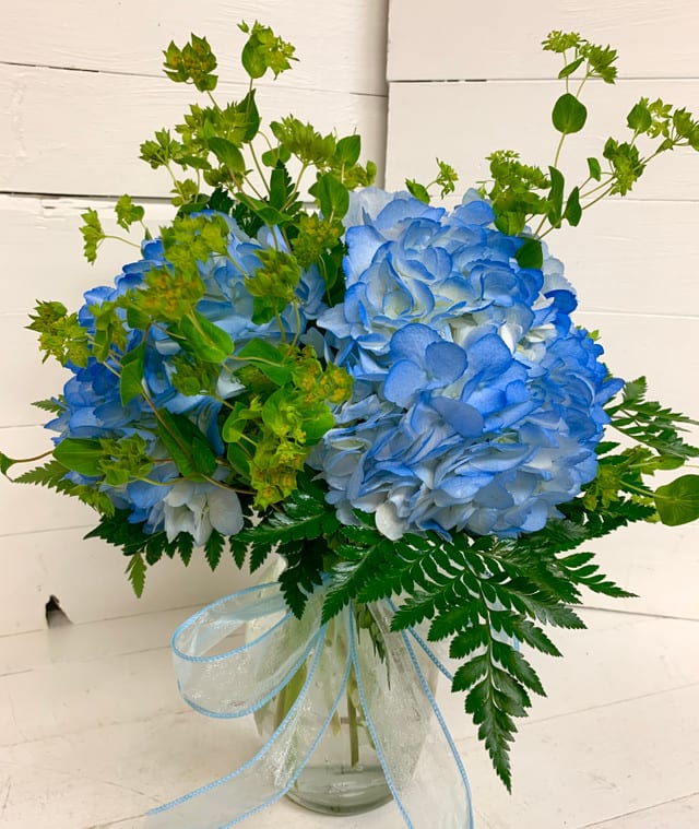 Blue Hydrangeas  - These outstanding beauties set the stage for an unforgettable event – day or evening.  With their full blooms, lush volume and subdued color – they offer so much for so little – and yet leave a lasting impression. Arrangement includes blue hydrangeas,, mixed greenery and a blue bow!