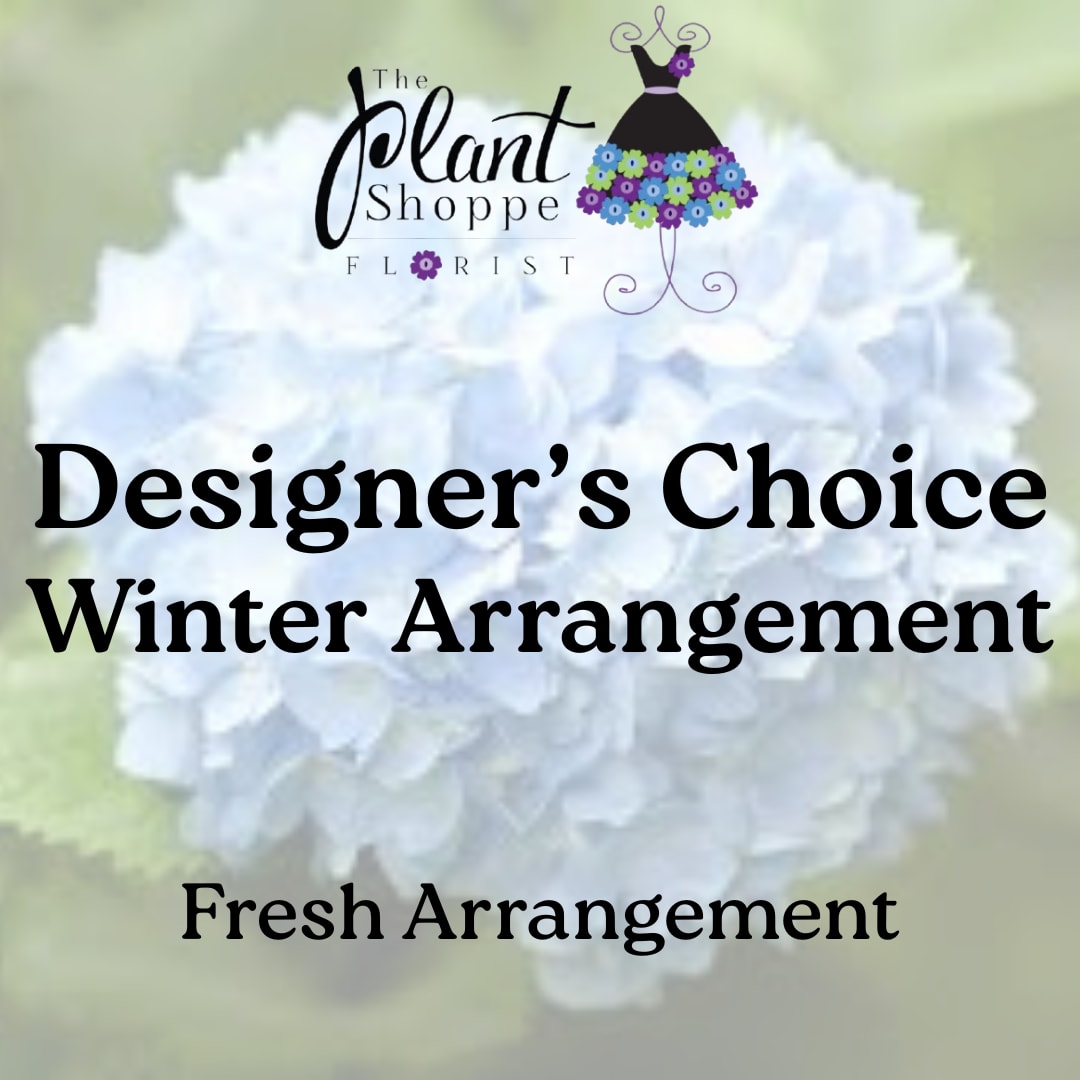 Winter Designer's Choice - Allow the designer to make a design with the most fresh Winter flowers we have!