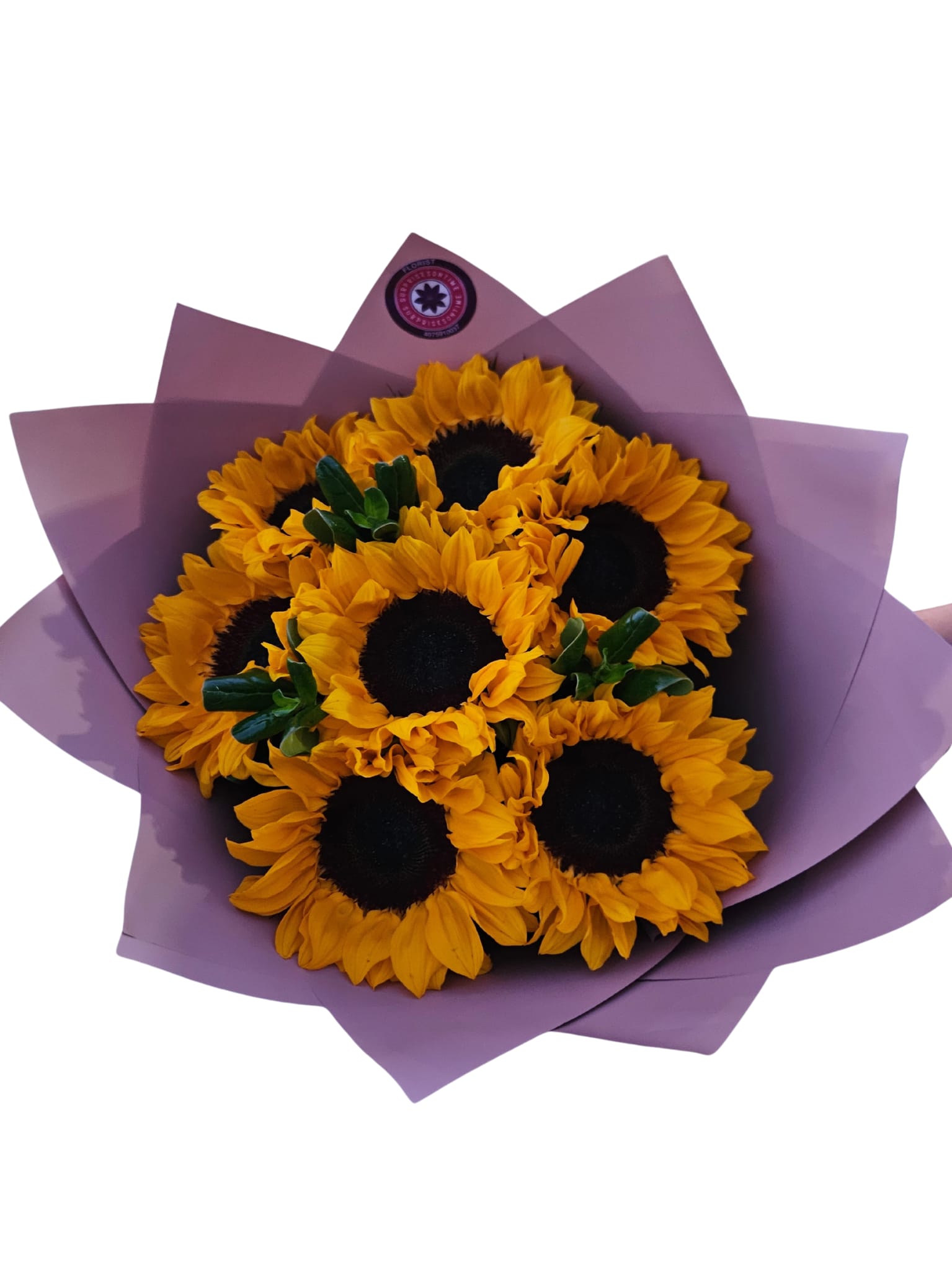 Girasoles Radiantes - 7 girasoles radiantes 