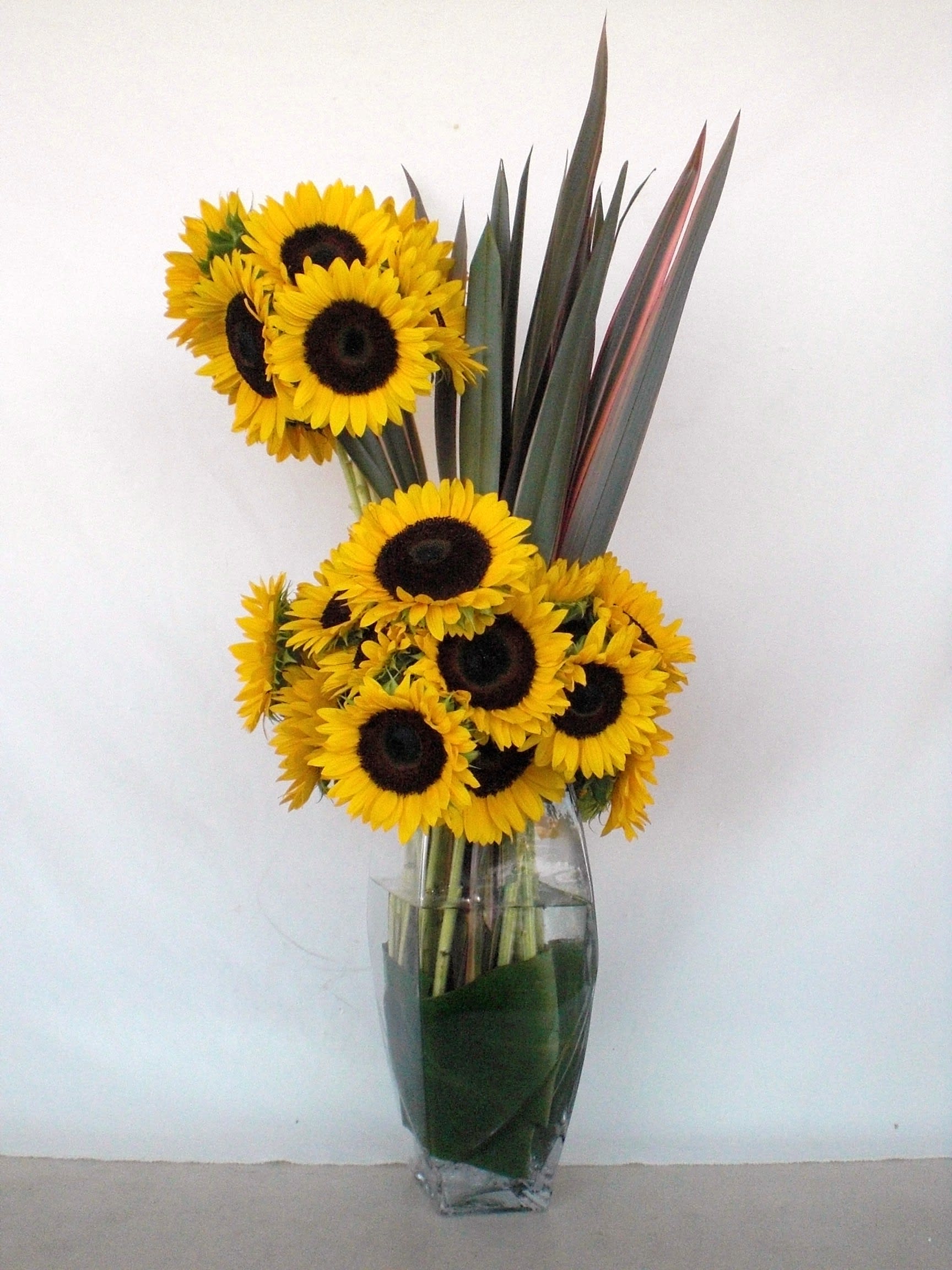 Sunshine - Beautiful sunflowers artistically arranged in a tall glass vase with flax leaves. 