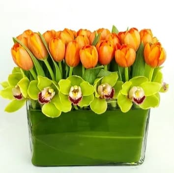  Orange Water tulips - Elevate your space with our enchanting vase arrangement, a symphony of elegance and warmth featuring vibrant orange tulips and exotic cymbidium orchids. This stunning floral composition effortlessly blends the bold energy of tulips with the delicate allure of orchids, creating a visual masterpiece that captivates any room.  The lively orange tulips add a pop of color and symbolize enthusiasm, while the intricate cymbidium orchids bring an exotic touch and represent love, beauty, and strength. Expertly arranged in a stylish vase, this ensemble exudes sophistication and charm.  Whether gracing your dining table, brightening up your office, or serving as a thoughtful gift, our orange tulips and cymbidium orchids arrangement is a timeless expression of beauty and admiration. Embrace the allure of nature's finest hues with this exquisite floral creation.  Product ID: DF-1715