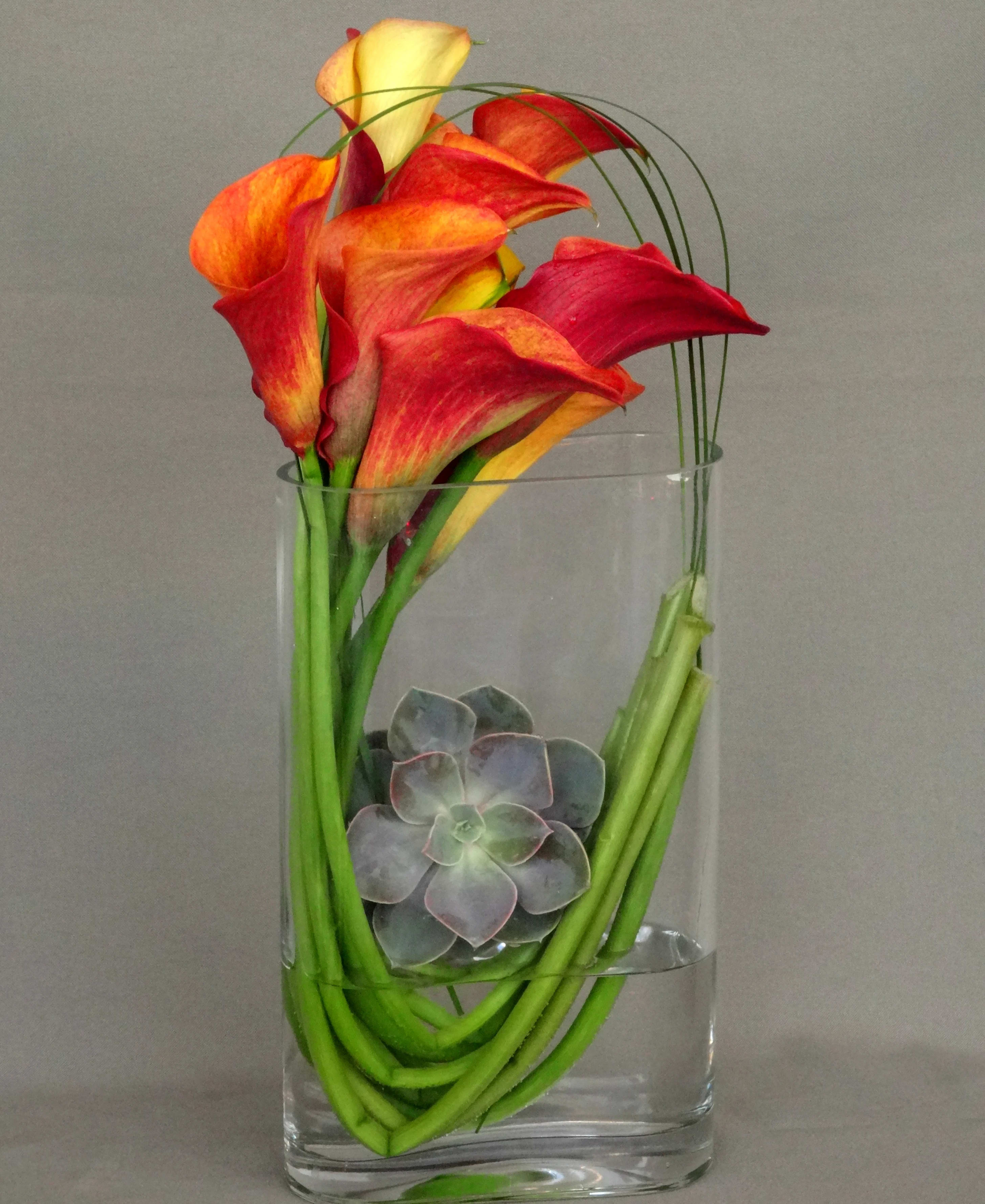 Crepe Suzzette - Curvaceous, Stunning and Chic. A beautiful vibrant Graptosedum succulent nestled in curved stems that lead to a gorgeous bunch of Calla Lilies, is bound to mesmerize anyone but especially the one it's meant for.  At Dave's Flowers, we specialize in creating captivating floral compositions, carefully curated to infuse charm and elegance into every moment.  Our expertly designed floral ensemble showcases the perfect blend of natural beauty and contemporary aesthetics, making it an ideal gift for any occasion. The vibrant Graptosedum succulent adds a touch of greenery, while the gorgeous Calla Lilies serve as the centerpiece, exuding timeless sophistication and grace.  With our convenient online ordering and prompt delivery services in the local Los Angeles area, sending a mesmerizing floral gift has never been easier. Let Dave's Flowers be your trusted partner in creating unforgettable moments filled with the beauty and freshness of nature's finest creations.  Visit us to explore our exclusive collection and witness firsthand the transformative power of our meticulously crafted floral masterpieces.