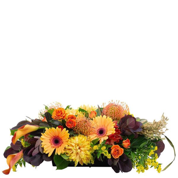 Abundant Harvest - TMF-1697 - Capture the coziness of fall.  Abundant Harvest is warm and welcoming centerpiece to accent your table.  Flowers like Mini Callas, Gerber, and a pincushion protea are the perfect blend of fall colors to accent your festivities.      Approximately 8.5&quot;H 29&quot;W