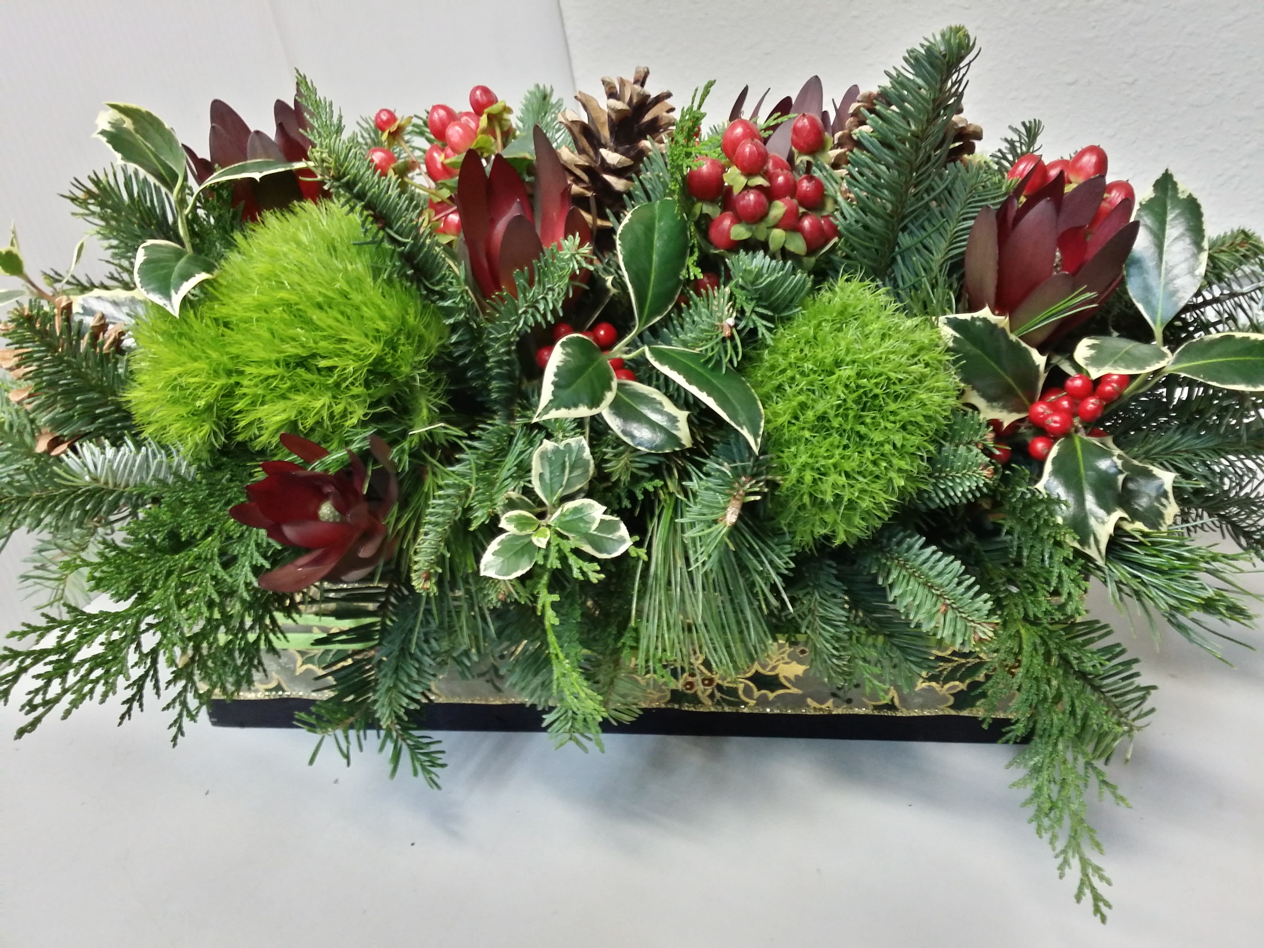 Pacific NW Winter Table - Pacific northwest evergreens and pinecones, local varigated or plain holly, mossy dianthes, hypericum berries, in a rectangle box wrapped with festive ribbon.  Approximate size is 9in x 18in