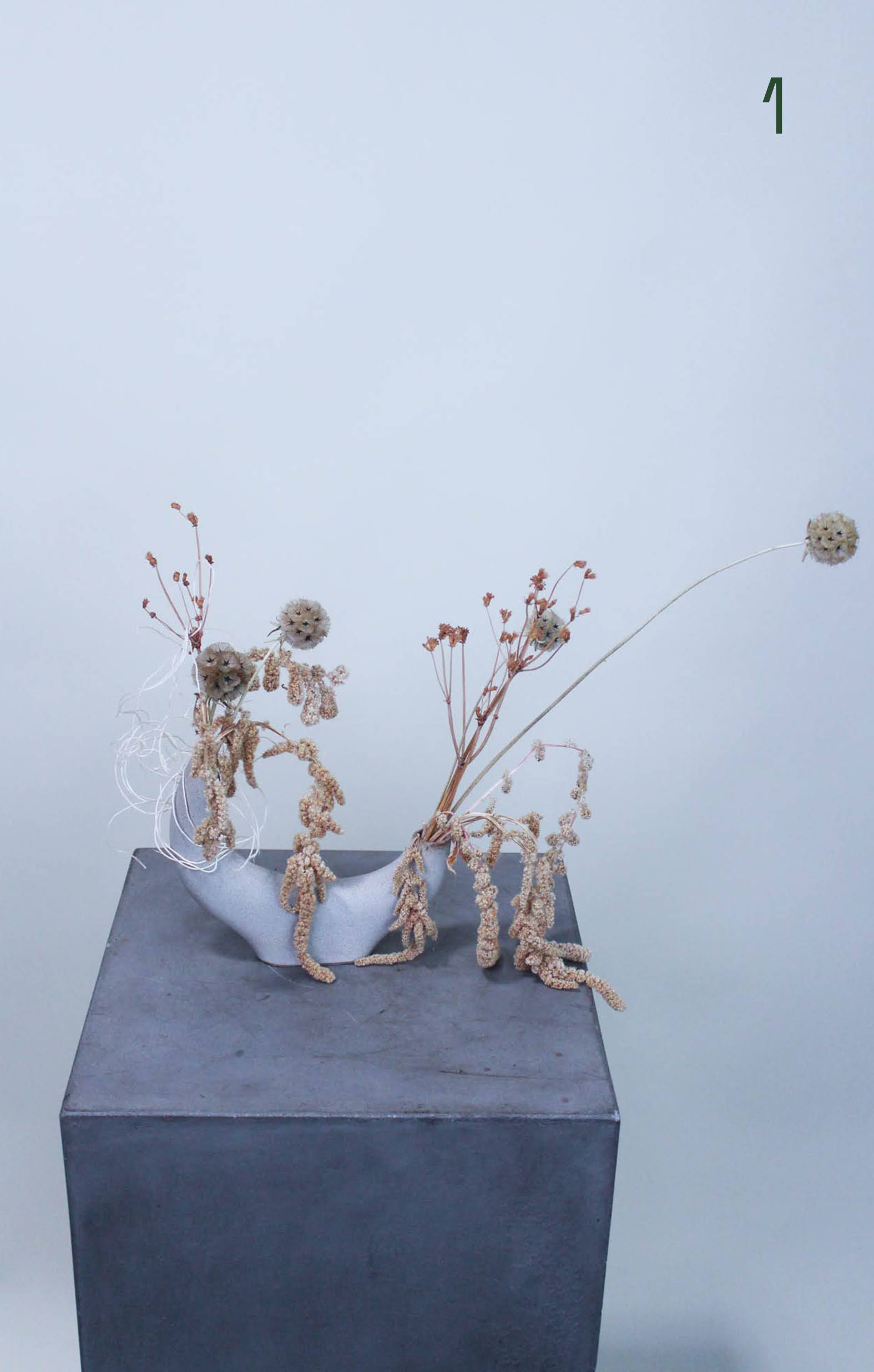 Dried Porcelain Meadow  - Dried botanical elements set in a unique ceramic vase. Perfect size to adorn a coffee table.   *Request image number in notes upon checkout if preference is desired.*