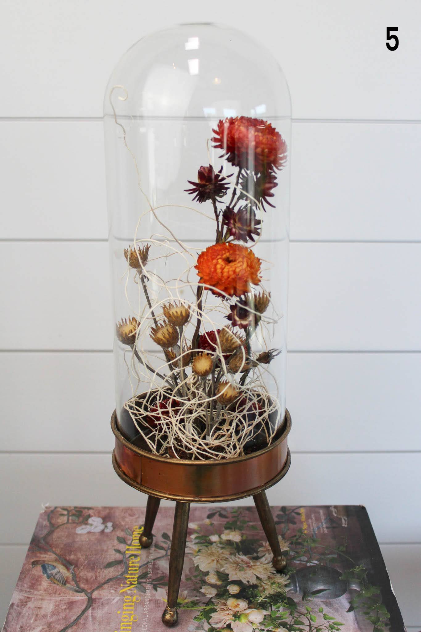 Le Cloche - This little world stands alone in it's simple beauty and unique display.    