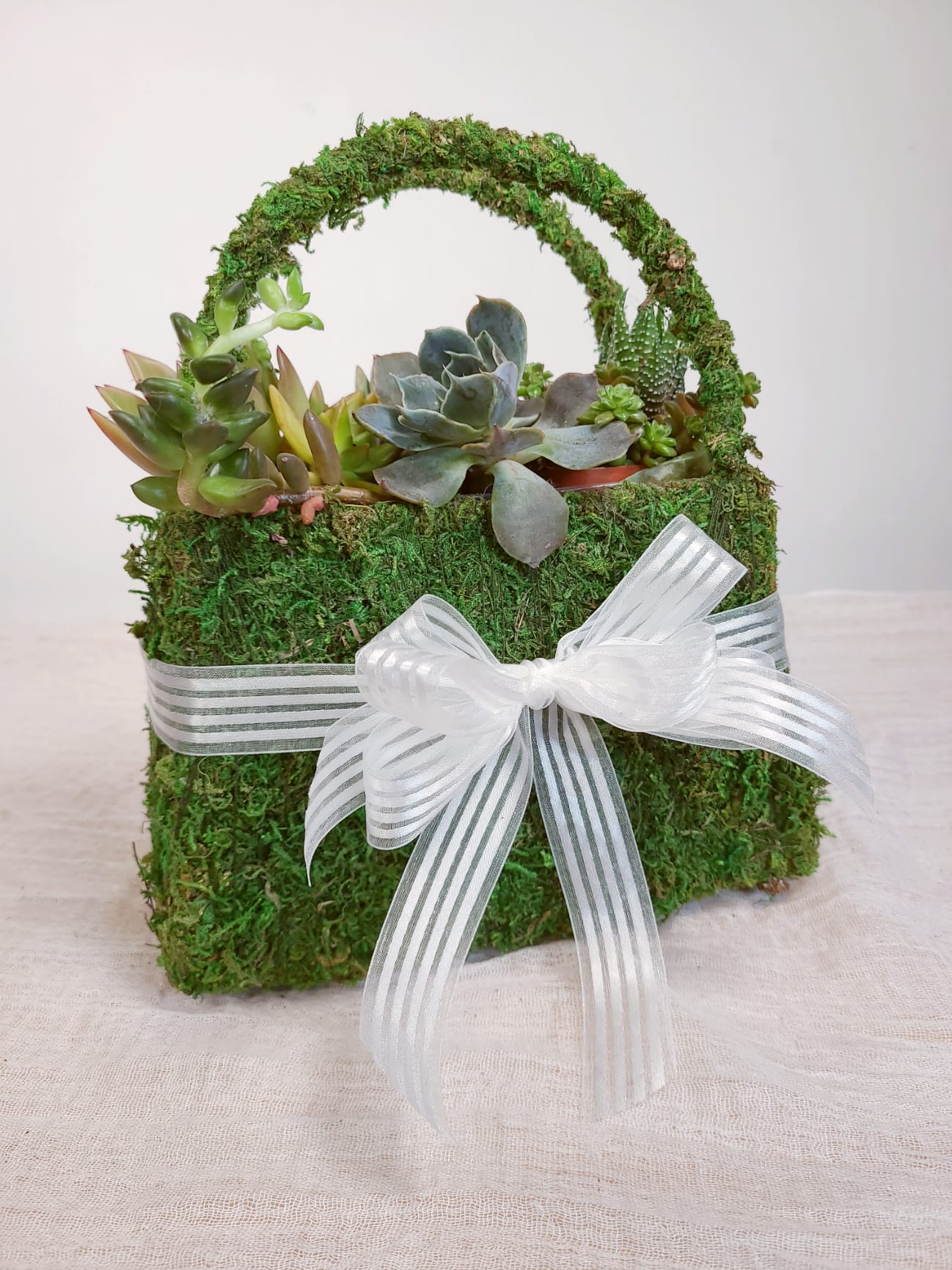 Succulent Moss Purse - Get your mom a living purse this Mother's Day! This chic moss planter comes with 4-5 succulents and a ribbon bow.