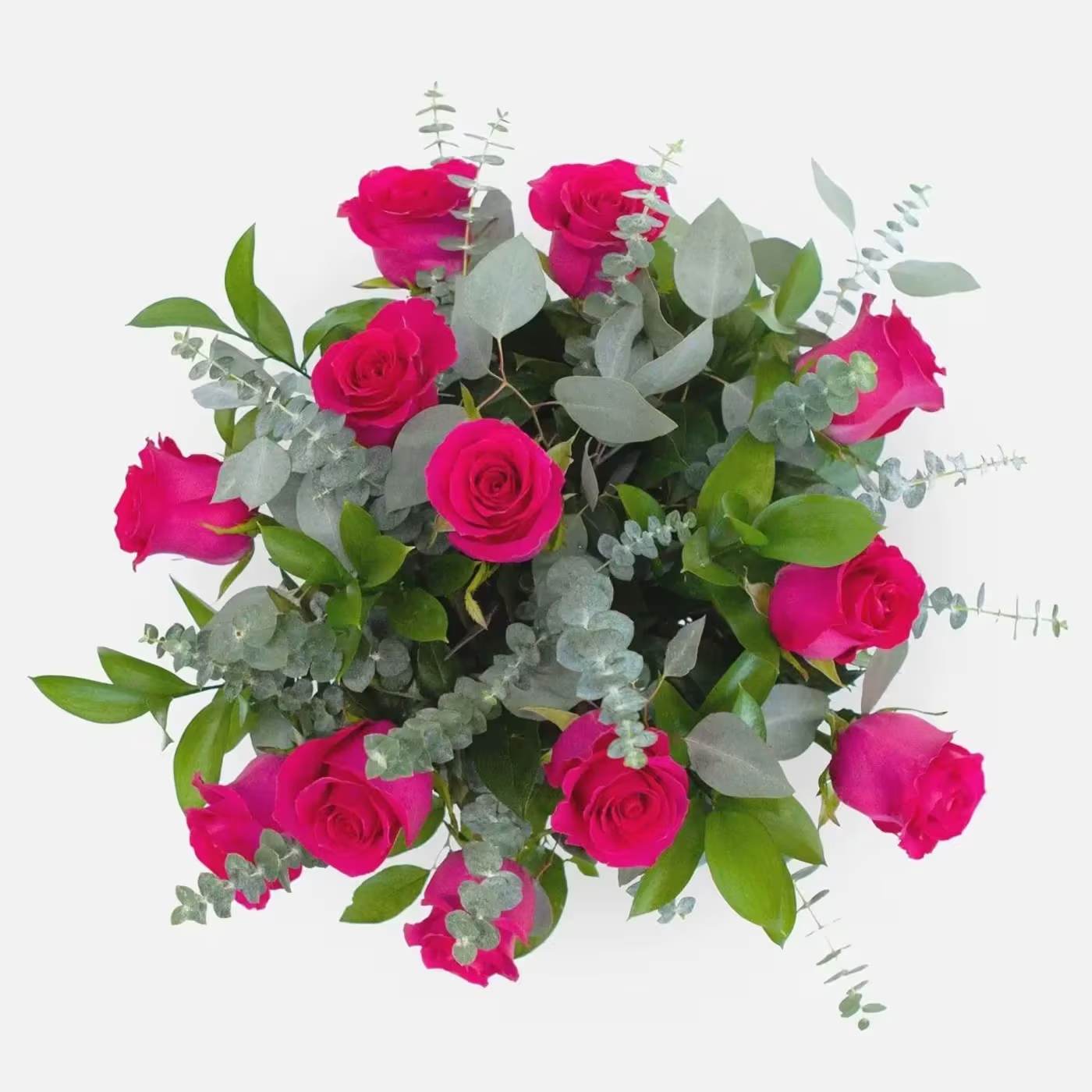 1 Dozen Hot Pink Roses in a Bouquet - Hot Pink Roses in a Bouquet with paper wrap (no vase)