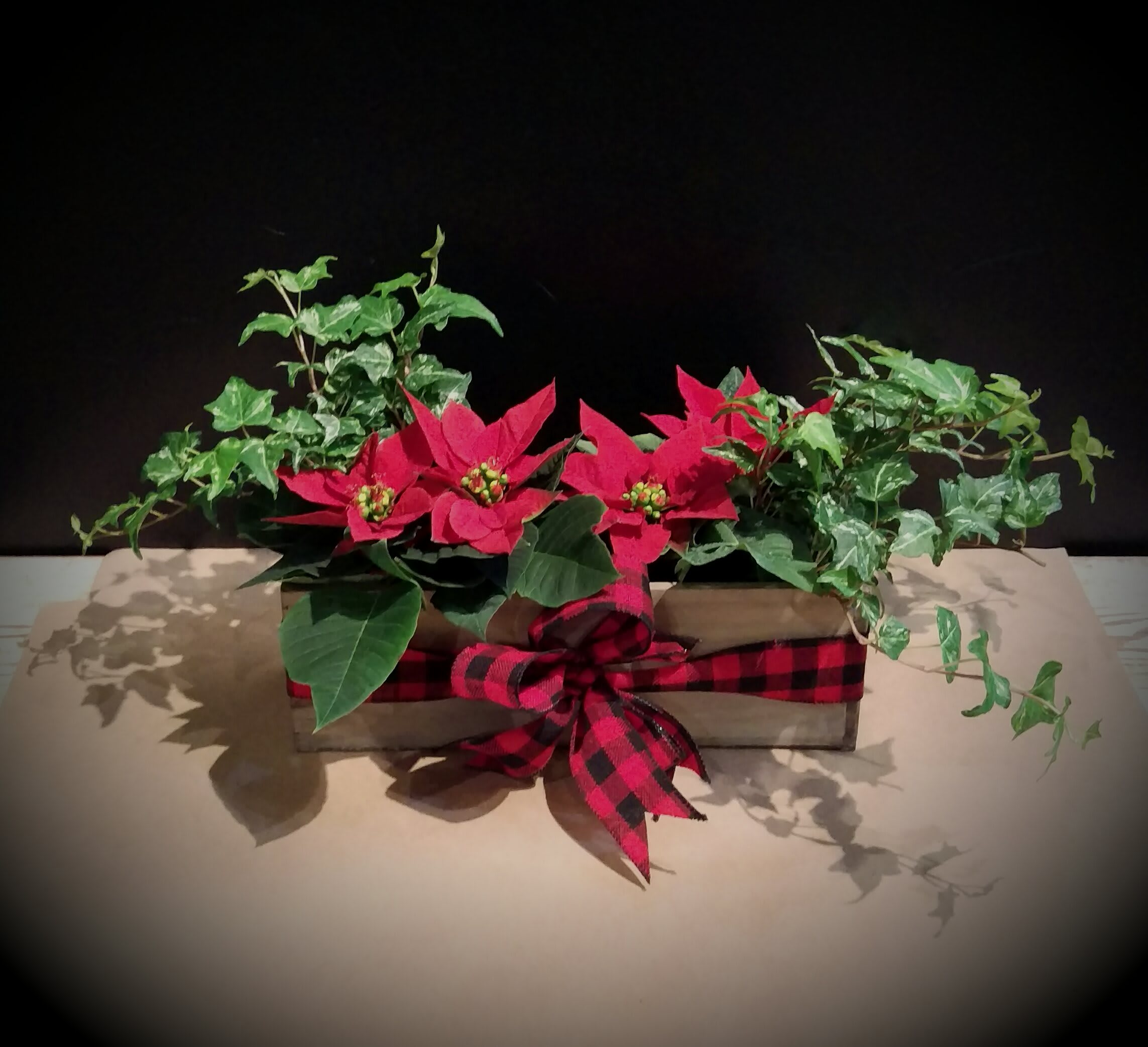 Mini poinsettias in Barnwood - Long &amp; narrow barn wood box with Nashville grown miniature poinsettias and ivy.  Accented with a festive holiday ribbon and moss.  A perfect poinsettia for just about anyone!  11x4x6 approx