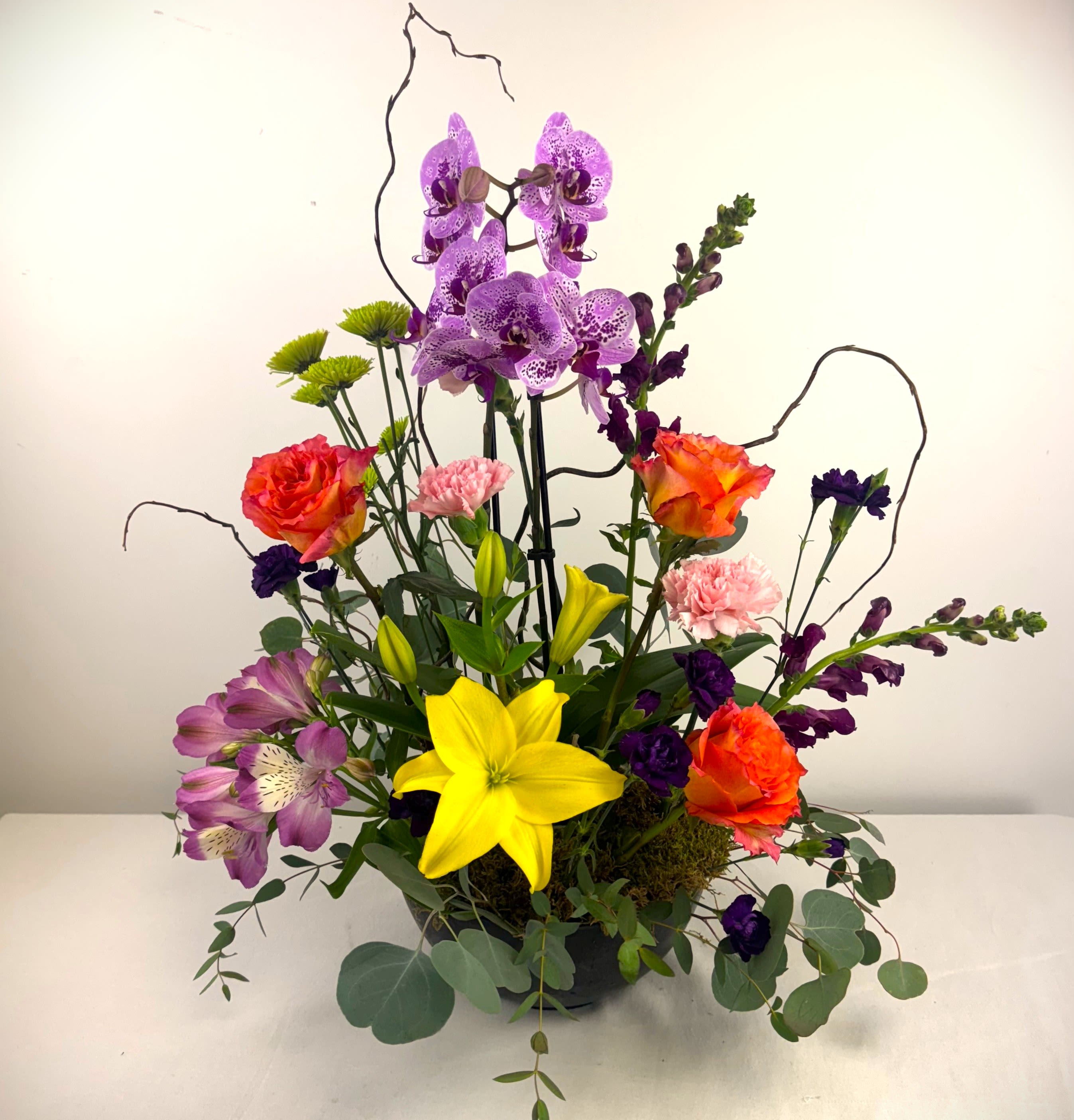 Urban Orchid - A bright and bold display of beautiful seasonal blooms that includes a real orchid plant! Great for Mother's Day, birthday or any day.