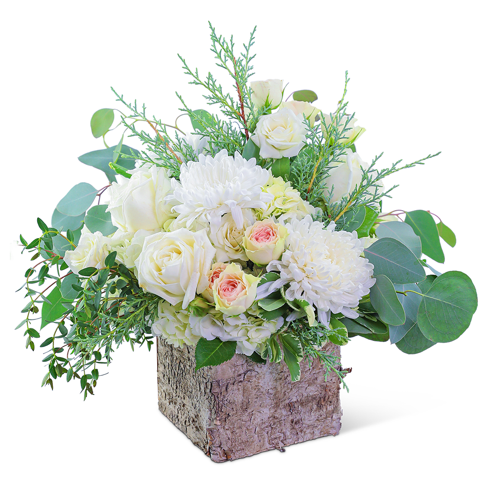 Blushing in Birch - Awaken the senses as you walk into your own romantic floral fantasy! Traditional roses, contemporary mums, and playful hydrangea mix to create a stunning bouquet! Blushing in Birch is bursting with blossoms and arranged in an eye-catching birch cube, accented with premium foliage. A shop favorite, this timeless beauty is perfect for any occasion!
