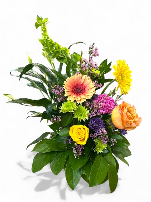 Hope's Garden Plant and Fresh Flower Basket  - Hope's Garden features a charming 4-inch diameter potted plant nestled in a rustic basket, symbolizing growth and renewal. Paired perfectly with this greenery is a thoughtfully arranged small bouquet of fresh, vibrant flowers selected by the designer, adding a touch of color and elegance. Completing the presentation is a delicate bow that ties the entire arrangement together, making it a heartfelt gift or centerpiece that inspires optimism and new beginnings.