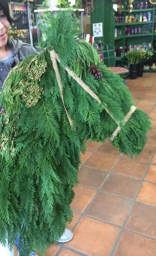 Custom Door Decoration - Traditional wreath not for you? Show your love of horses with this custom horse design. Greens may vary between pine, cedars, and firs. We can also do other shapes/animals, please call and we can discuss your custom door decoration.