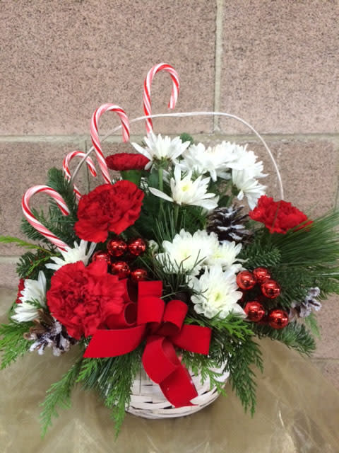 Candy Cane Lane - White basket filled with cedar, pine and douglas fir with white chrysanthemum poms and red carnations. Accented with bows, balls, pine cones and of course, candy canes!